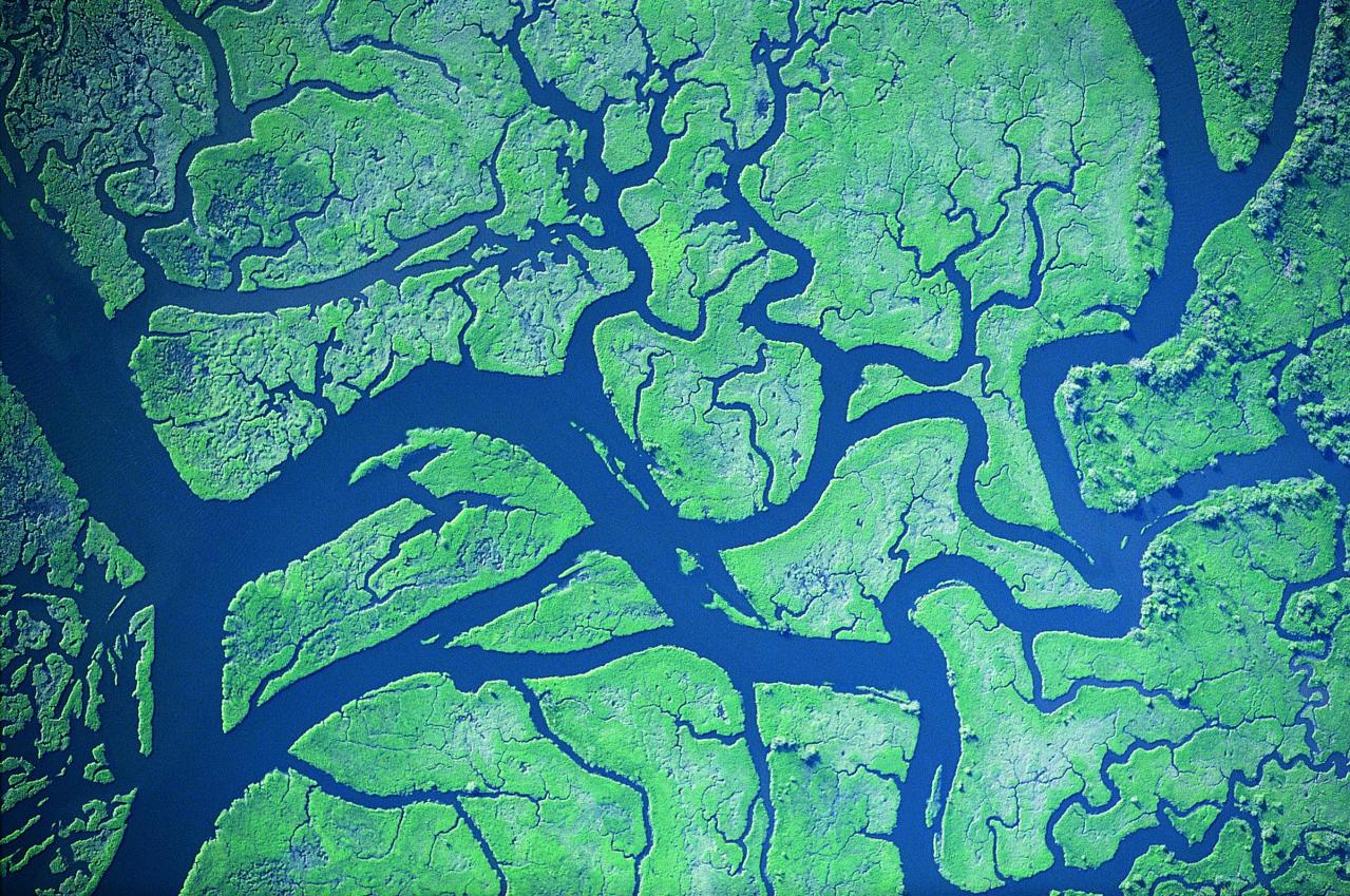 Earth, Atmospheric, & Aquatic Science Collection