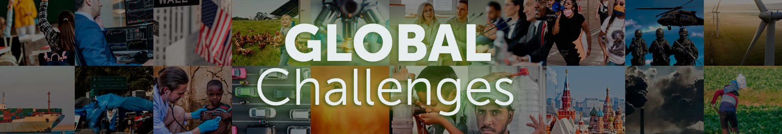 Libraries Empower Researchers to Take on Today’s Global Challenges